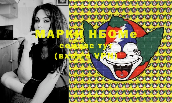 стаф Козловка