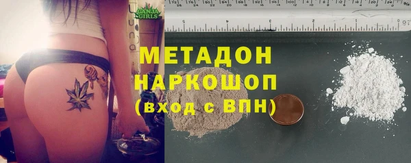 стаф Козловка