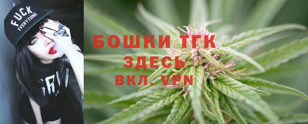 mdpv Козельск