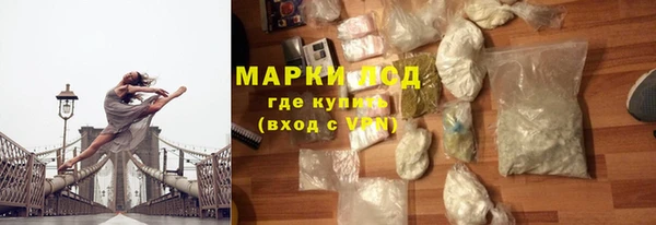 стаф Козловка