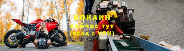 стаф Козловка