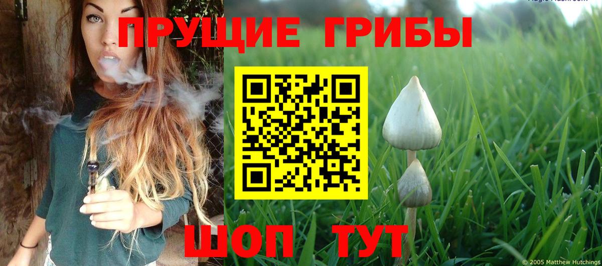 Галлюциногенные грибы GOLDEN TEACHER Наро-Фоминск